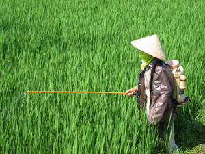 Nông dân xã Mãn Đức (Tân Lạc) phun thuốc trừ rầy hại lúa chiêm-xuân 2012.
